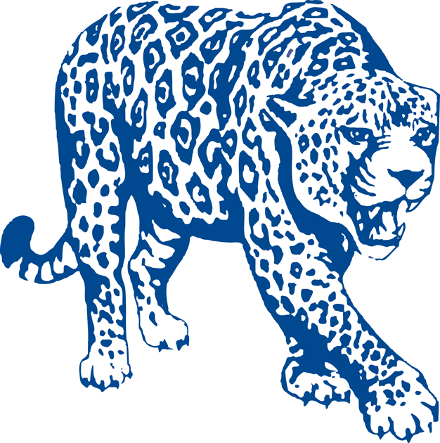 South Alabama Jaguars 1993-2007 Partial Logo v2 diy iron on heat transfer
